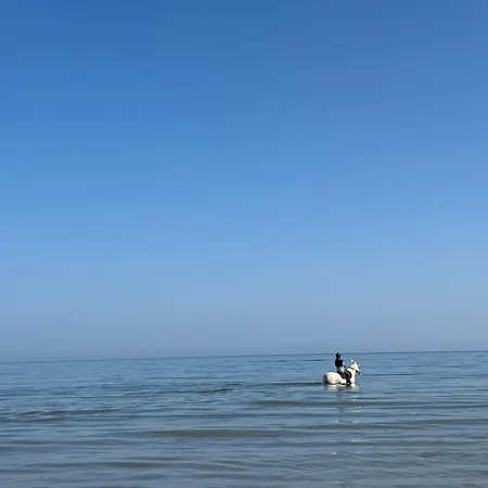 Capucine 200 M Away, Close To Deauville *