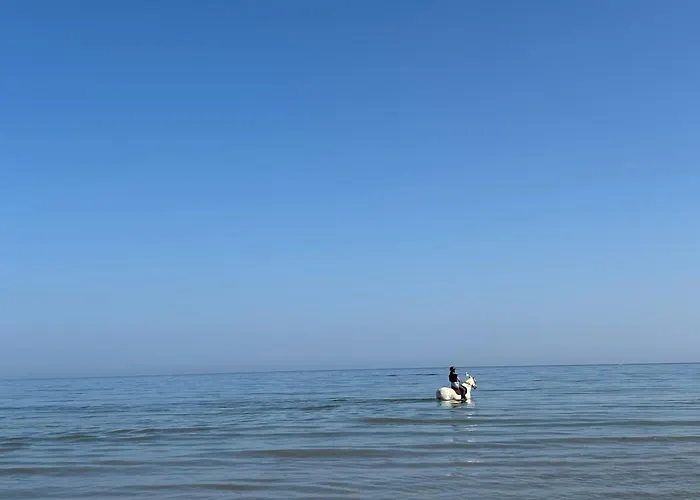 Capucine 200 M Away, Close To Deauville *